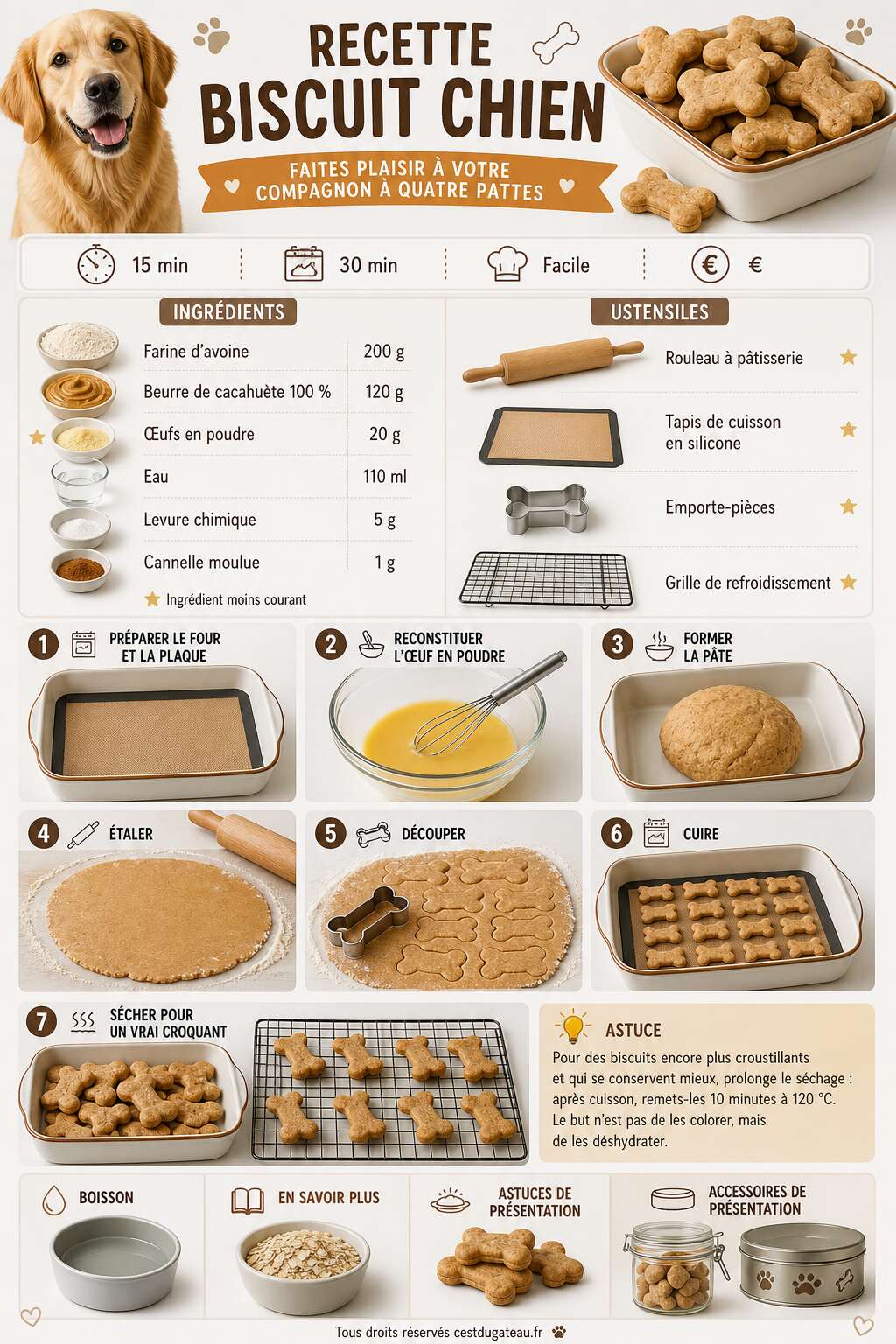 Fiche recette Recette biscuit chien : faites plaisir à votre compagnon à quatre pattes Fiche recette Recette biscuit chien : faites plaisir à votre compagnon à quatre pattes