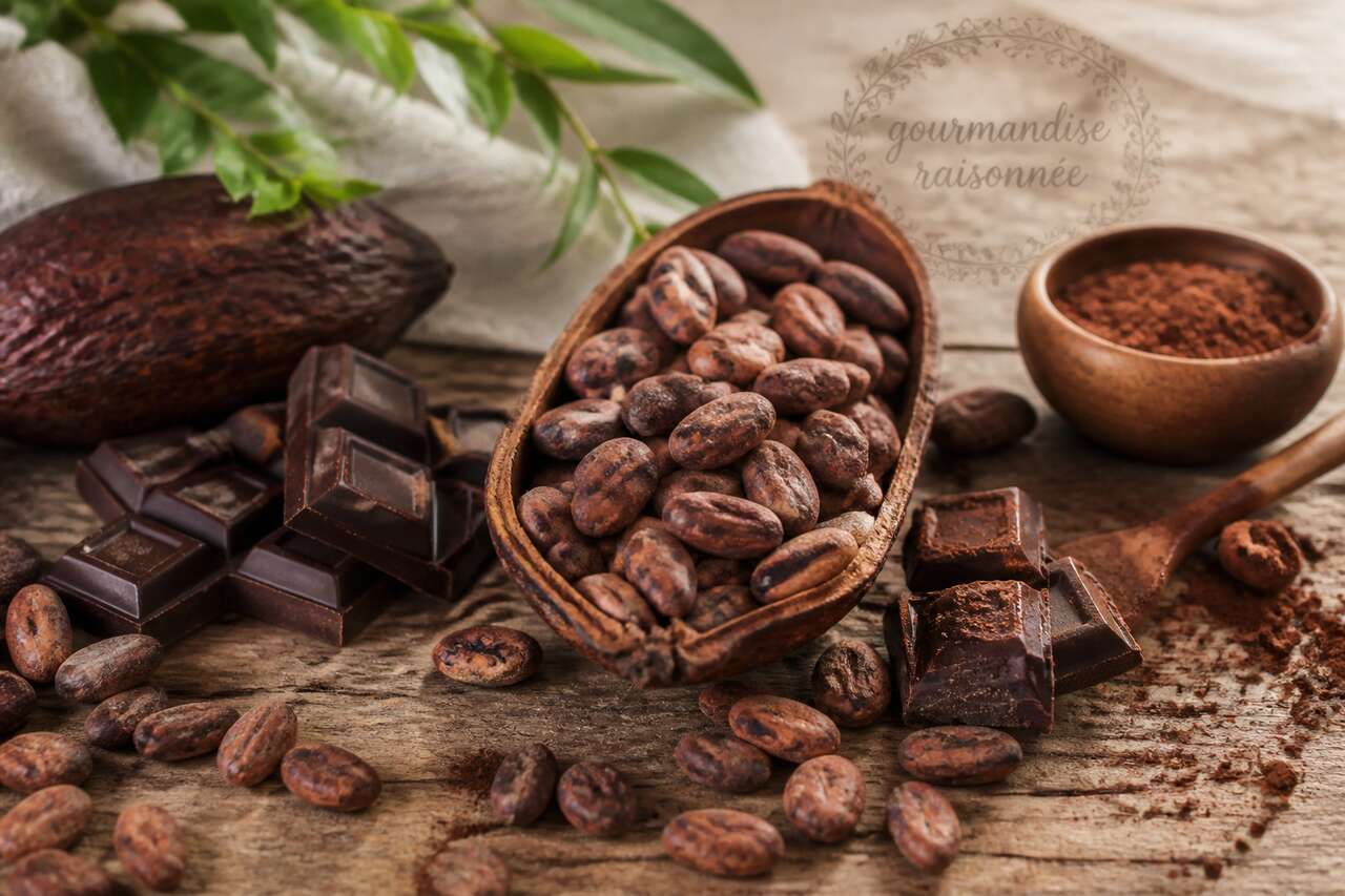 Le chocolat comme matière première: choisir un cacao, choisir un goût Le chocolat comme matière première: choisir un cacao, choisir un goût